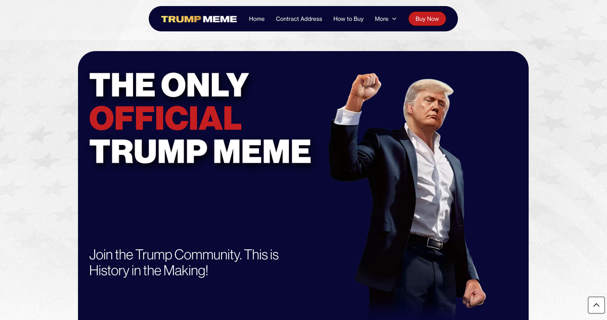 2024年Meme Coin市场全景剖析：从辉煌到泡沫